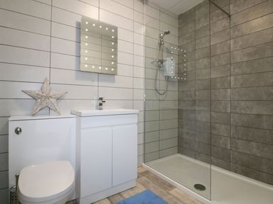 A bathroom with a shower and sink at The Cartwheel in Amroth