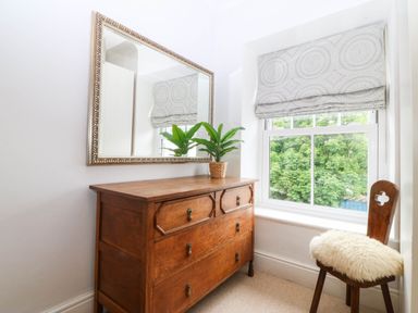 A bedroom featuring a dresser with a mirror and a plant at Llys Awen in Caernarfon