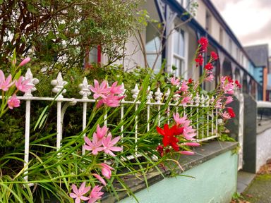 A garden with a fence and flowers at Llys Awen in Llanwnda