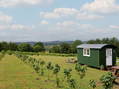 A shepherd's hut near a vineyard at Shepherds Hut at East Hill Pride Four Elms Hill Nr Sidmouth