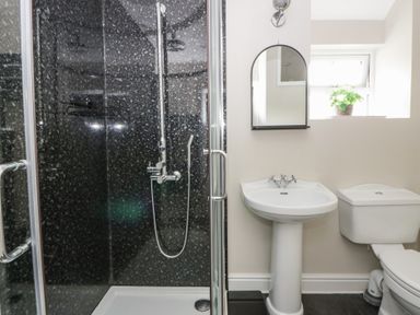 A bathroom with a shower, sink, and toilet at Arosfa New Quay