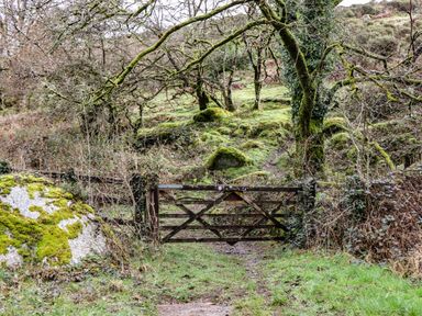 A gate leading to a path surrounded by trees and rocks at The White House in Okehampton