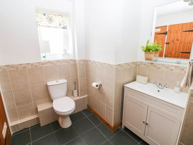 A bathroom with a toilet and washbasin at The Old Dairy near Solva