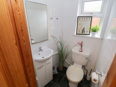 A bathroom with a toilet and sink at Ti Maolla in Hollymount