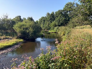 A river surrounded by plants and trees at Up Top in Launceston
