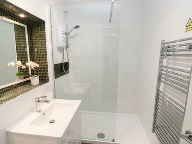 A bathroom with a shower, sink, and decorative plant at Coedrath Park