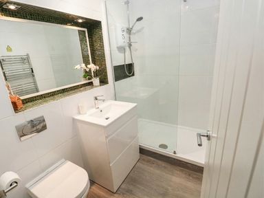 A bathroom with a sink, shower, and toilet at Coedrath Park