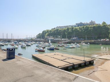 A harbor with multiple boats and a pier at Coedrath Park in 