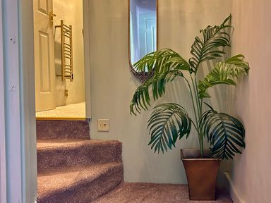 A staircase with a plant and mirror in the hallway at Downton I Alnwick