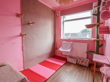A cat room with a cat tree and sleeping mats at Hafan Deg in Holywell