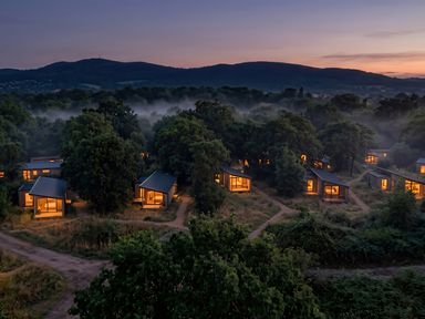 An overview of cabins surrounded by trees at Arbora 1.0 Spa (Pet) in Malvern