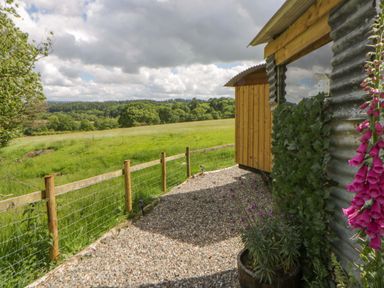 A view of a gravel path leading to a metal and wooden shed with flower pots at The Little Shepherds Hut with a View Builth Wells