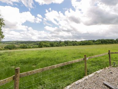 A view of a grassy field with trees and clouds at The Little Shepherds Hut with a View Builth Wells