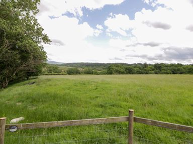 A field with grass and trees at The Little Shepherds Hut with a View Builth Wells