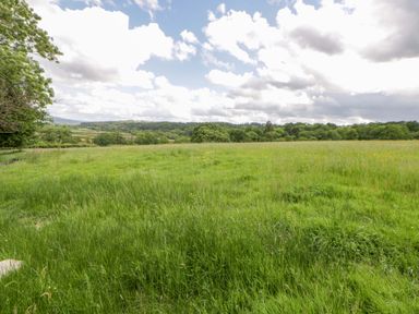 A field with grass and trees under a cloudy sky at The Little Shepherds Hut with a View Builth Wells