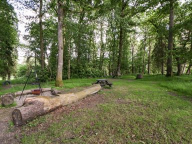 An outdoor area with a picnic table and fire pit at The Little Shepherds Hut with a View Builth Wells
