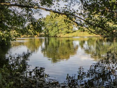 A river surrounded by trees at The Little Shepherds Hut with a View near Newbridge-On-Wye