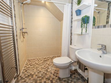 A bathroom with a shower, toilet, and sink at Frome Gazey Barn in Frampton