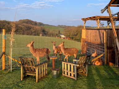Deer near seating area with wooden chairs and table in a field