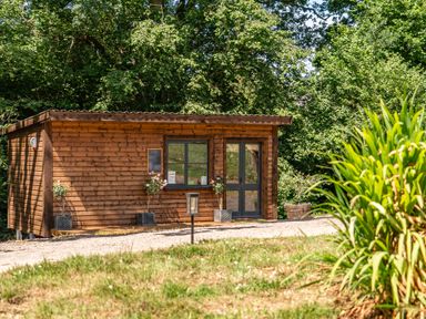 A wooden cabin with plants outside at Luxury Safari Lodge Sleeps 4/6 Deer Park Dogs Ok, Zeal Monachorum near Bow