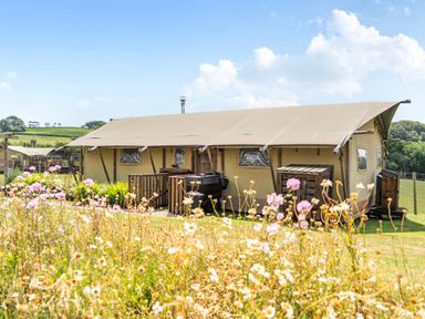 A tent with a deck and grill at Luxury Safari Lodge Sleeps 4/6 Deer Park Dogs Ok Zeal Monachorum near Bow