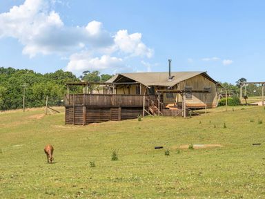 A safari tent with a deck and a horse grazing in a field at Luxury Safari Lodge Sleeps 4/6 Deer Park Dogs Ok Zeal Monachorum near Bow