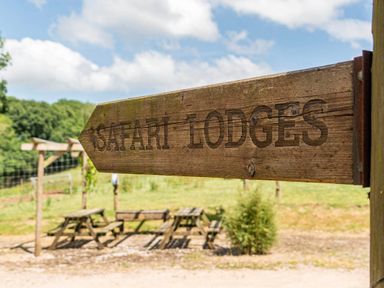 A sign pointing to Safari Lodges with picnic tables at Luxury Safari Lodge Sleeps 4/6 Deer Park Dogs Ok Zeal Monachorum near Bow