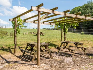 An outdoor area with picnic tables under a pergola at Luxury Safari Lodge Sleeps 4/6 Deer Park Dogs Ok Zeal Monachorum near Bow