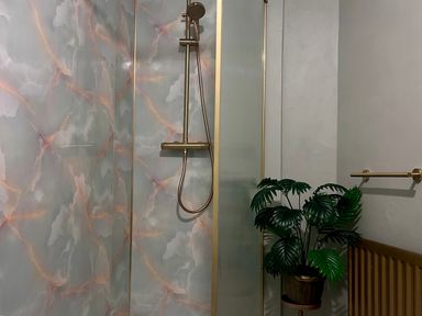 A bathroom with a shower and a plant at Downton II in Alnwick
