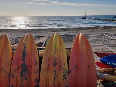 Four surfboards lined up on the beach with ocean in the background at Looe Cottage Seaside views log fire sleeps 4 Looe