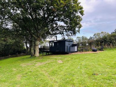 A hut with a deck and seating area surrounded by grass at a property in Newton Abbot