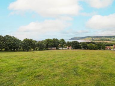 A view of trees and grass with a coastline at Owls Roost in Robin Hood’s Bay