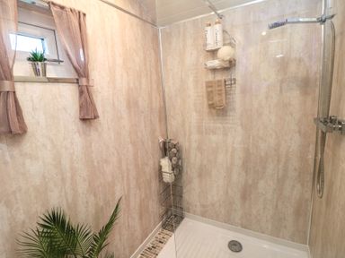 A shower with toiletries and a plant at Owls Roost in Robin Hood’s Bay