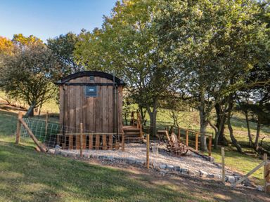 A wooden shed with a fenced area and gravel path at Owls Roost Robin Hood’s Bay
