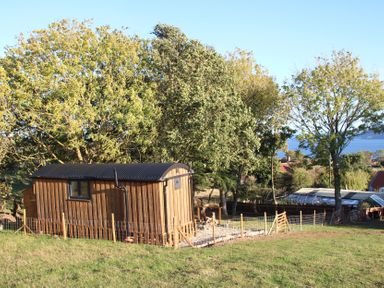 A wooden cabin surrounded by grass and trees at Owls Roost in Robin Hood’s Bay