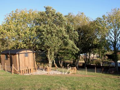 A wooden hut surrounded by trees and a fence at Owls Roost in Robin Hood’s Bay