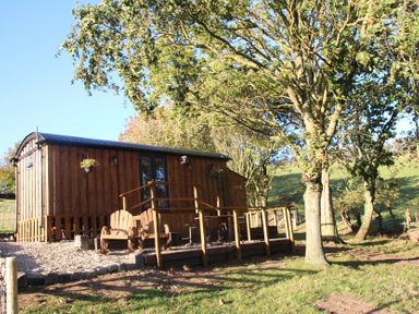 A wooden cabin with a deck and chairs at Owls Roost Robin Hood’s Bay