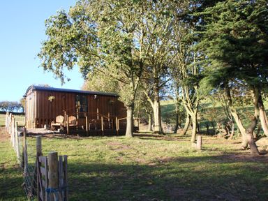 A wooden cabin with a deck surrounded by trees at Owls Roost in Robin Hood’s Bay