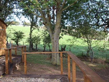 An outdoor area with a wooden railing and tree at Owls Roost in Robin Hood’s Bay