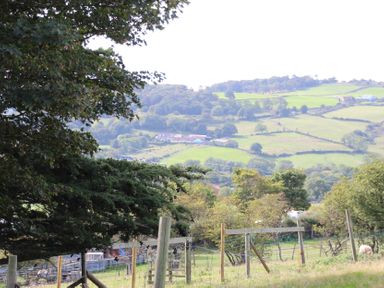 A view of fields and hills with trees and a fence at Owls Roost in Robin Hood’s Bay
