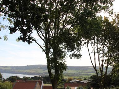 A view of trees and landscape at Owls Roost Robin Hood’s Bay