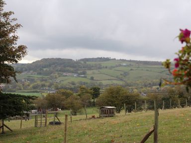 A view of hills and trees in a field at Owls Roost in Robin Hood’s Bay