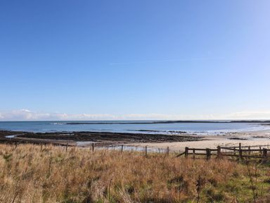 A shoreline with grass and a fence at Spinnaker