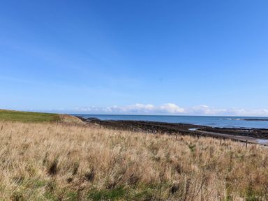 A coastal view with grass and rocks by the sea at Spinnaker