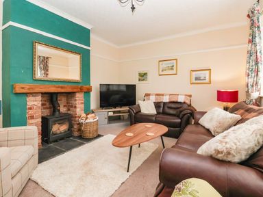 A living room with a fireplace and television at Westgate Willows in Nafferton