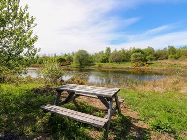 A picnic table by a pond at Silver Birch Cottage in Frizington