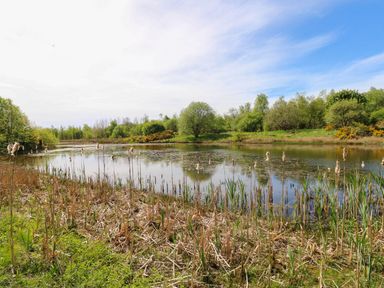 A body of water surrounded by trees and vegetation at Silver Birch Cottage in Frizington