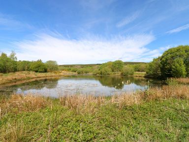 A natural landscape with a pond surrounded by grass and trees at Silver Birch Cottage in Frizington