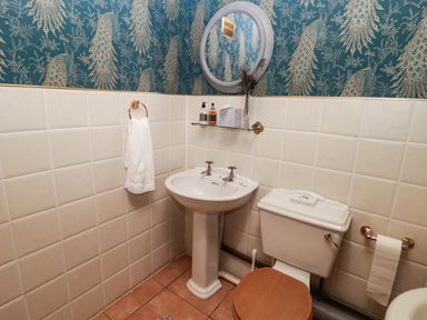 A bathroom with a sink and toilet at Ty Mawr Country House in Carmarthen