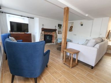 A living room with a television and a fireplace at Greenwich Cottage in Burton Bradstock